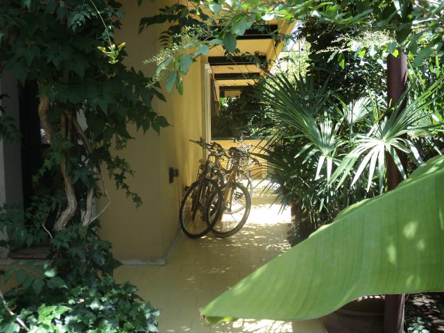 Photos for house 643171