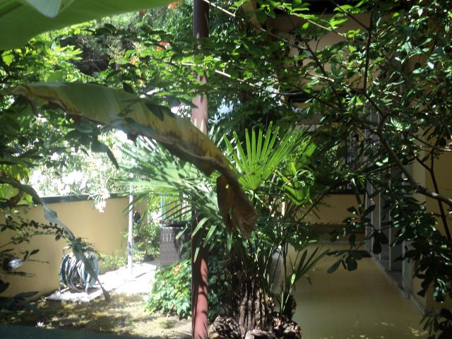 Photos for house 643171