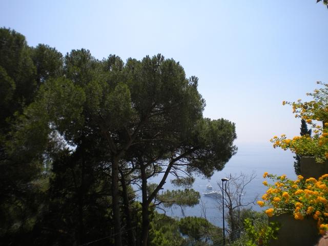 Photos for house 643173