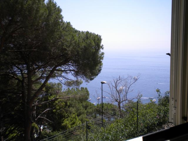 Photos for house 643173