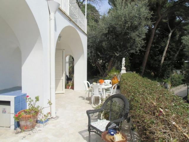 Photos for house 643173