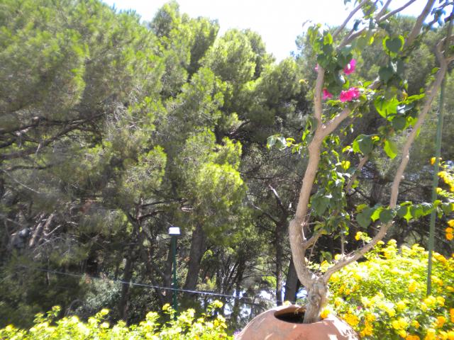 Photos for house 643173