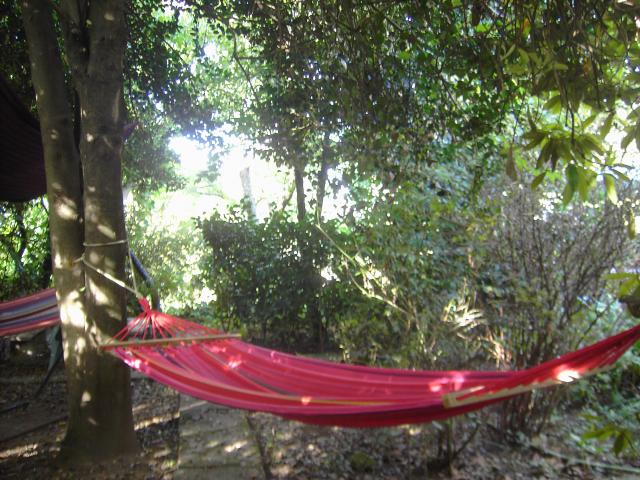 Photos for house 643184