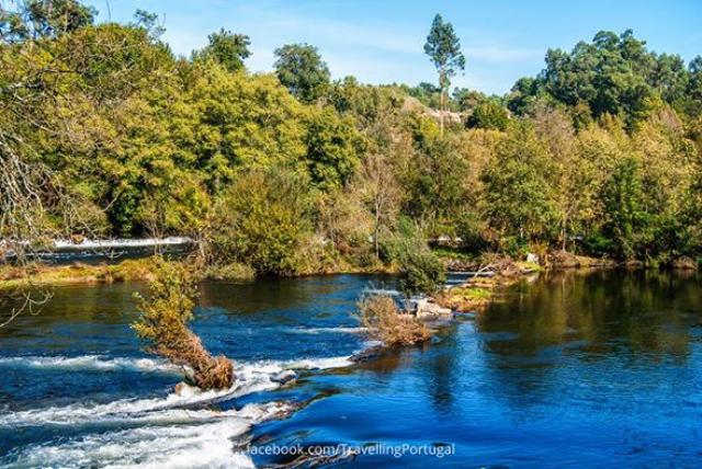 Photos for house 643184