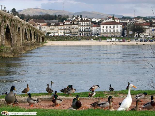 Photos for house 643184