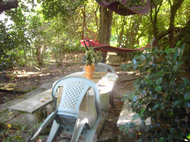 Photos for house 643184