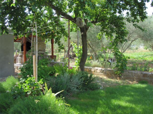 Photos for house 643202