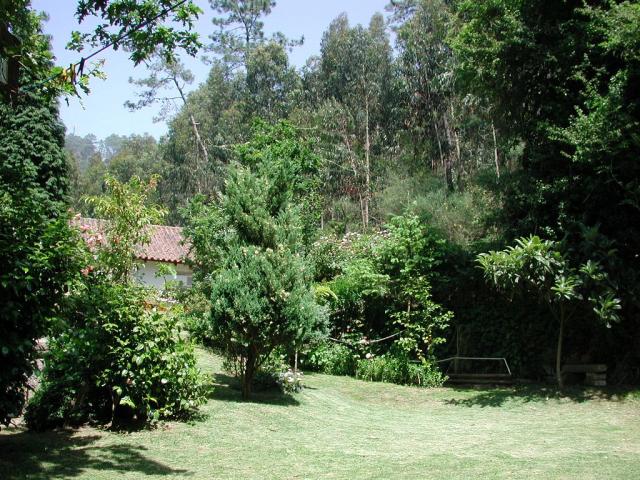 Photos for house 643213