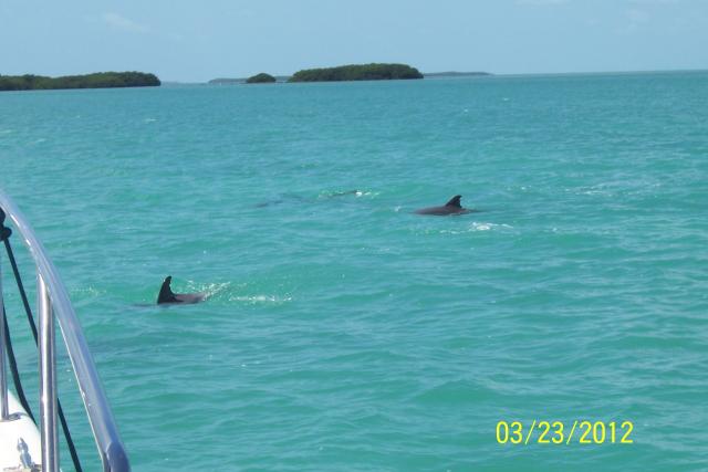 Photos for house 643231