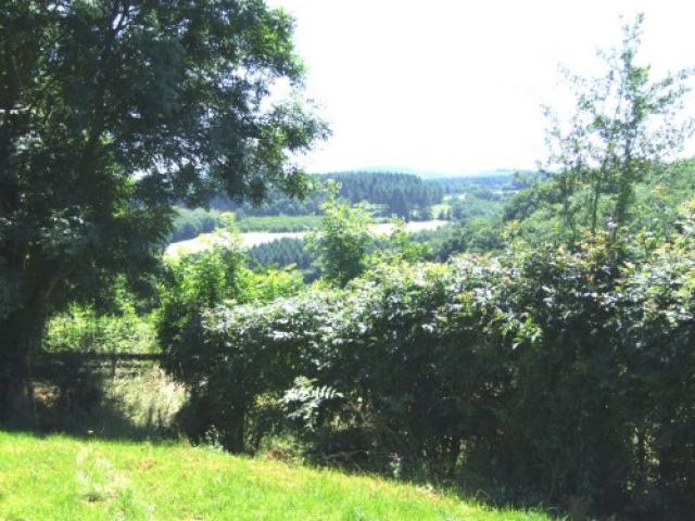 Photos for house 643236