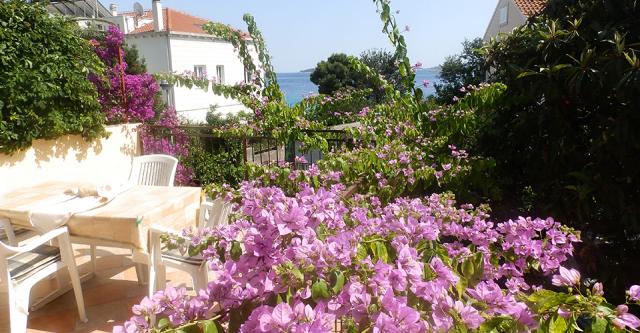 Photos for house 643239