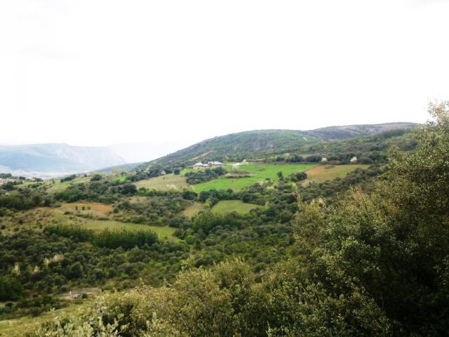 Photos for house 643244