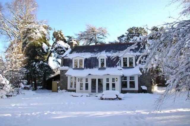 Photos for house 643246