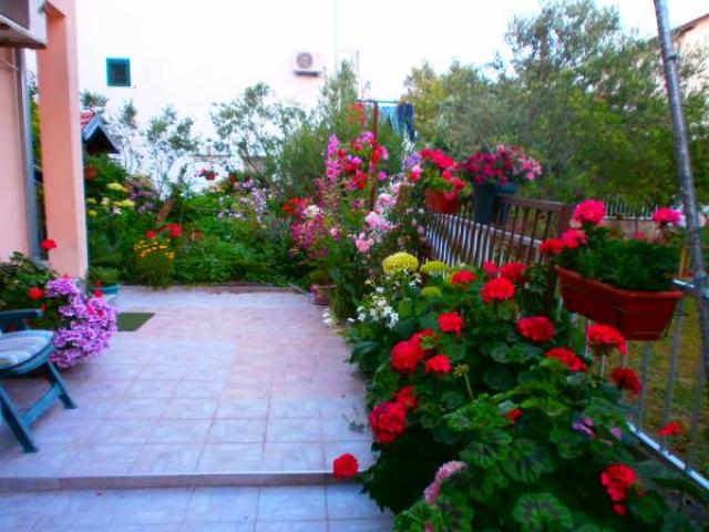 Photos for house 643264