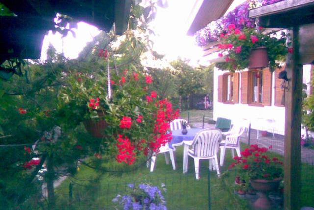 Photos for house 643270