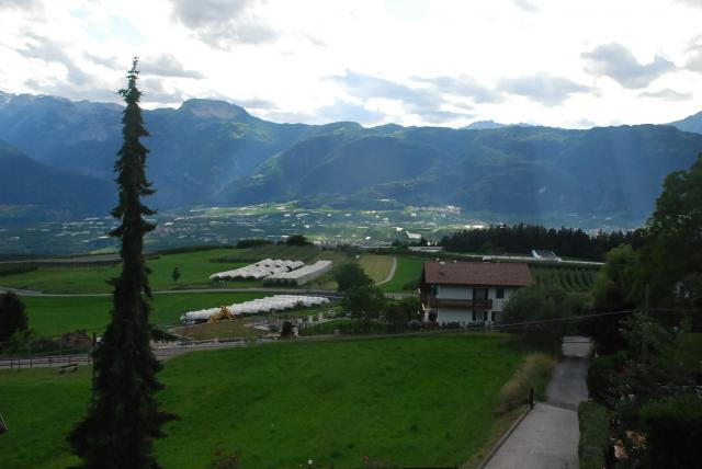 Photos for house 643270