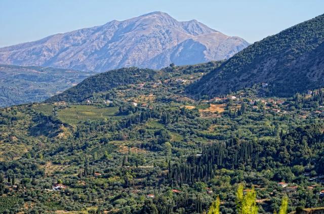 Photos for house 643277