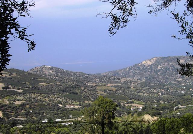 Photos for house 643277