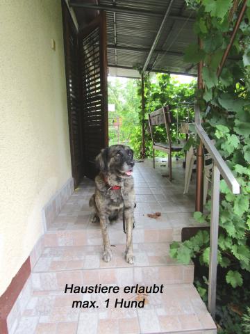 Photos for house 643284