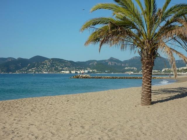 Photos for house 643290