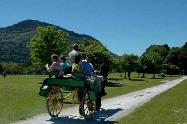 Photos for house 643296