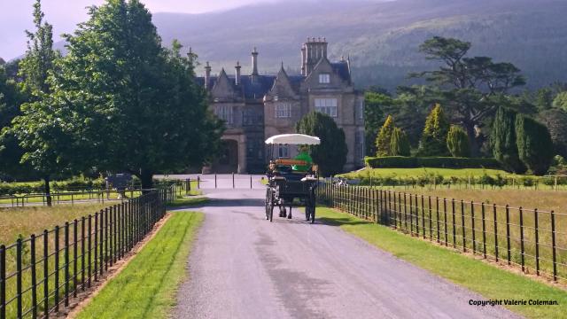 Photos for house 643296