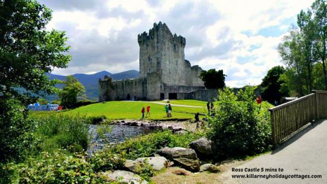 Photos for house 643296