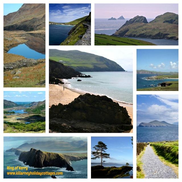 Photos for house 643296