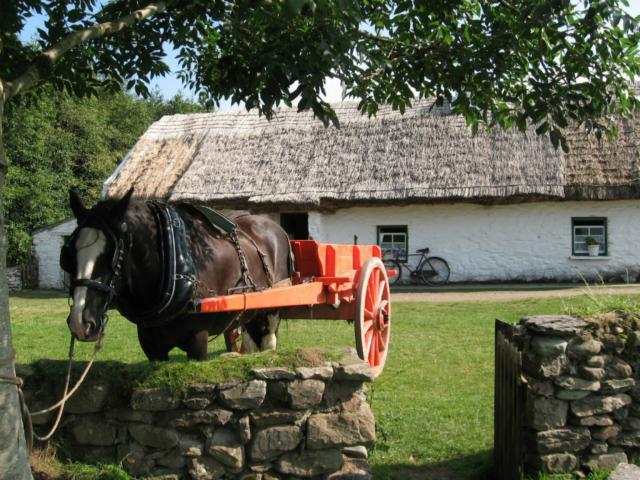 Photos for house 643296