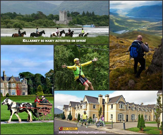 Photos for house 643296