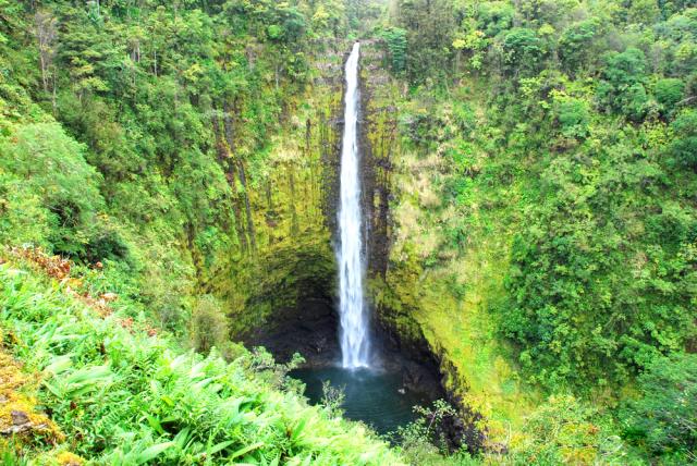 Photos for house 643303