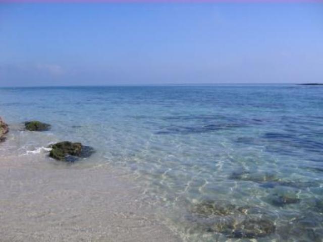 Photos for house 643304