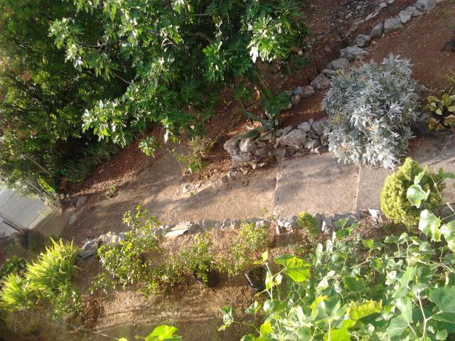 Photos for house 643306