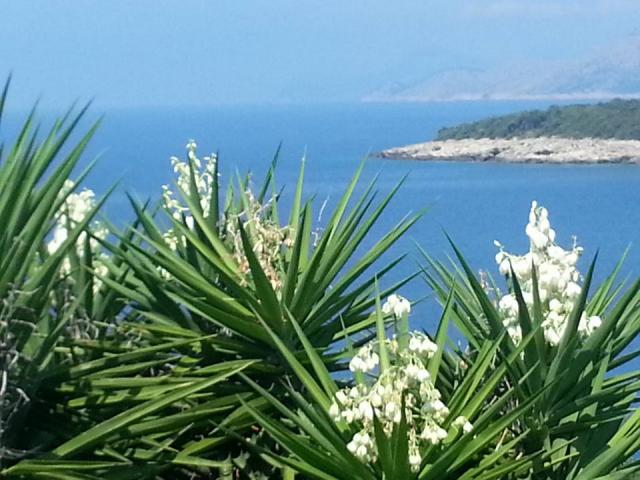 Photos for house 643306