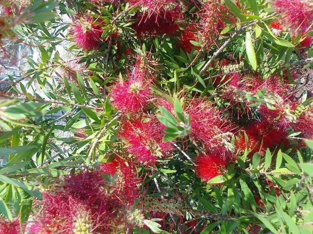 Photos for house 643306