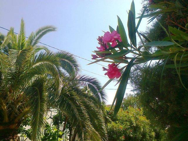 Photos for house 643306