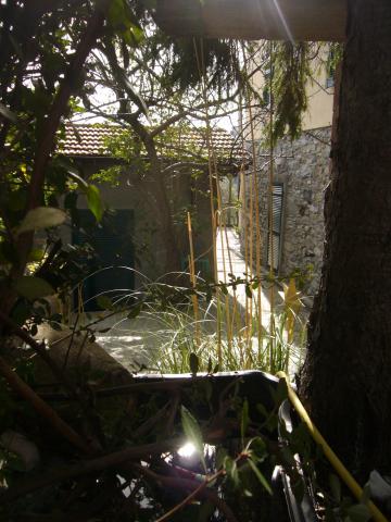 Photos for house 643307