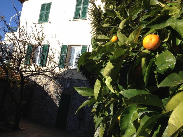 Photos for house 643307