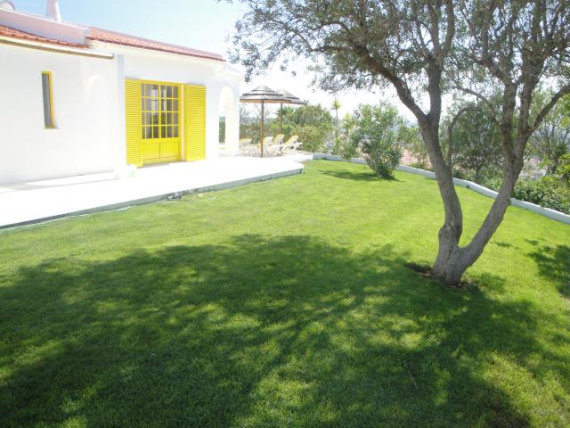 Photos for house 643311