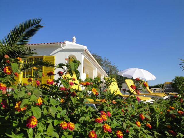 Photos for house 643311