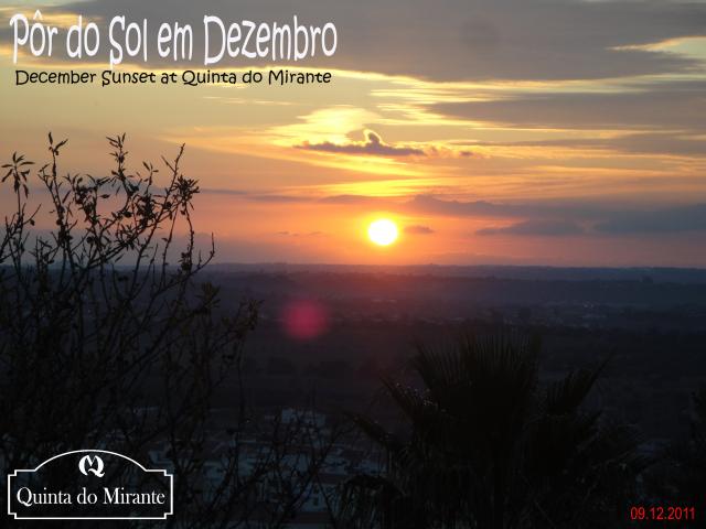 Photos for house 643311