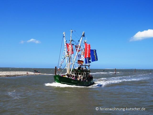 Photos for house 643328