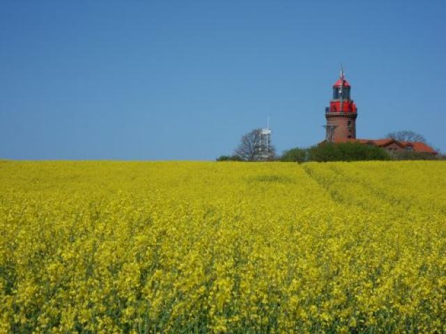 Photos for house 643330