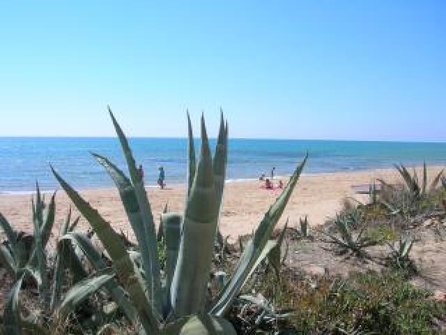 Photos for house 643335