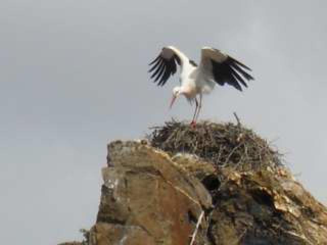 Photos for house 643337