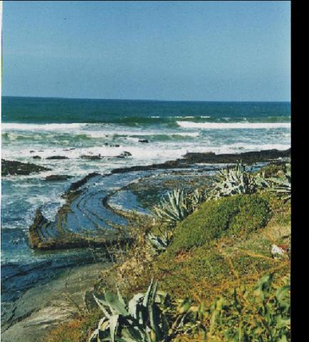 Photos for house 643337