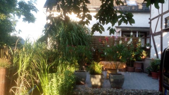 Photos for house 643343