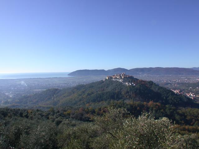 Photos for house 643383