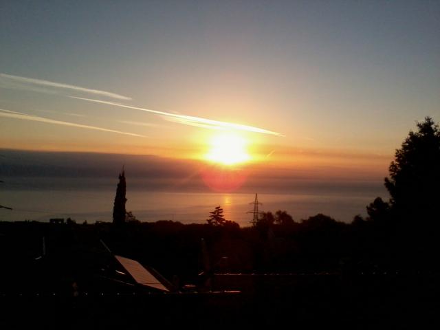 Photos for house 643447