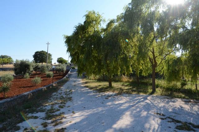 Photos for house 643448